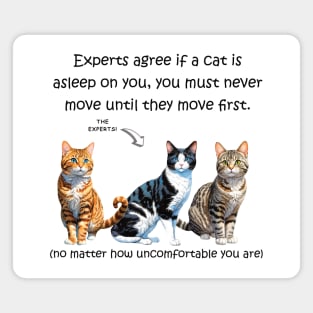 Experts agree if a cat is asleep on you, you must never move until they move first - funny watercolour cat design Magnet